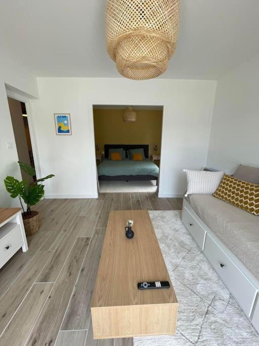 Appartement Proche Stade/Eurexpo เดซีน-ชาร์ปิเยอ ภายนอก รูปภาพ