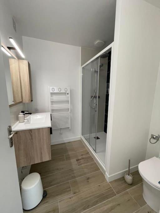 Appartement Proche Stade/Eurexpo เดซีน-ชาร์ปิเยอ ภายนอก รูปภาพ